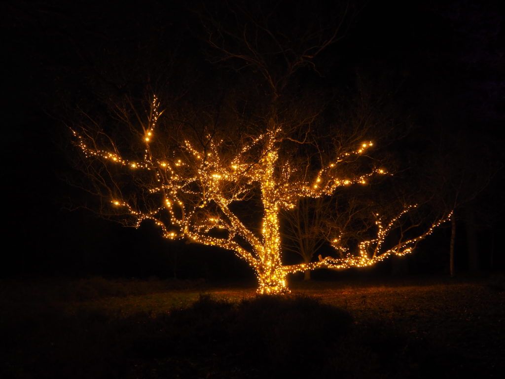 Windsor Illuminated Review