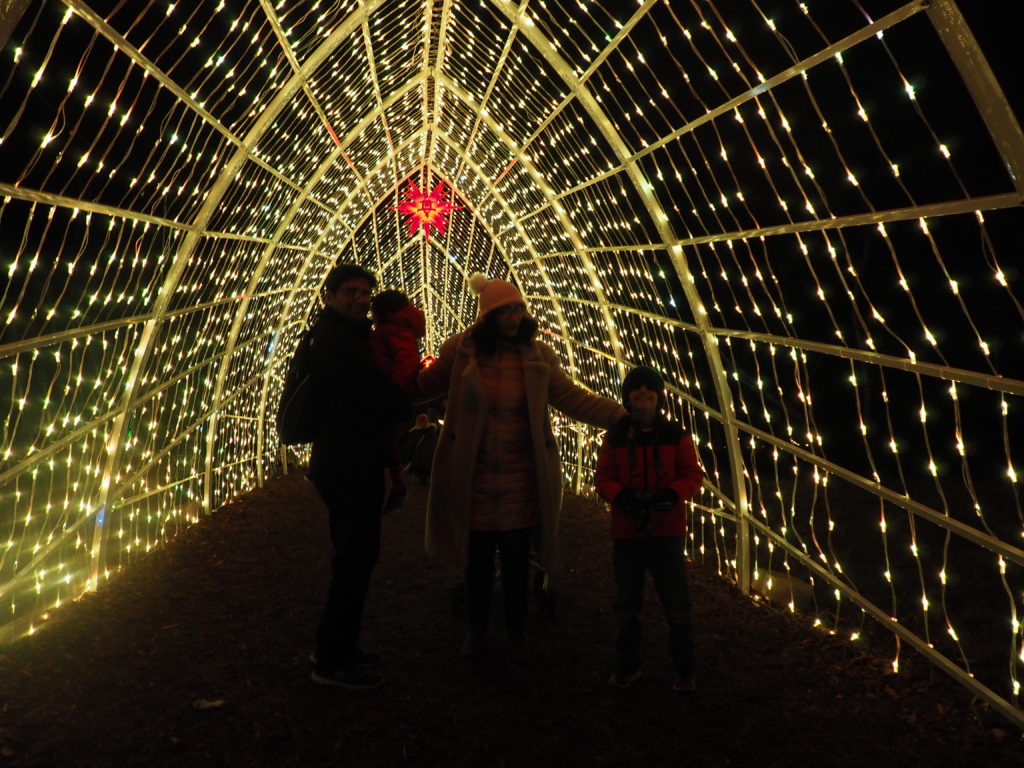 Windsor Illuminated Review