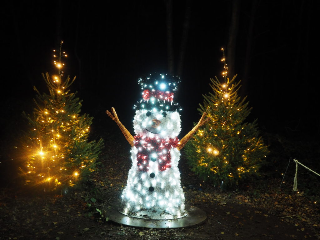 Windsor Illuminated Review