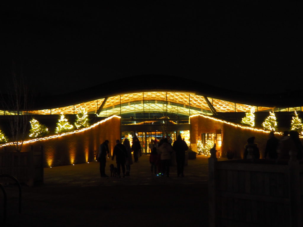 Windsor Illuminated Review